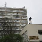 zdjęcie nr 12