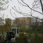 zdjęcie nr 19