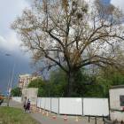 zdjęcie nr 12