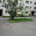 Fotka nr 4 z 12