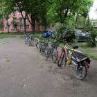 zdjęcie nr 11