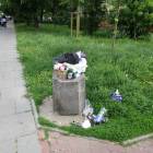 zdjęcie nr 8