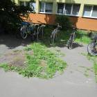 zdjęcie nr 7