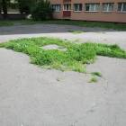 zdjęcie nr 11