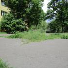 zdjęcie nr 16