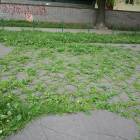 zdjęcie nr 23