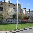 Fotka nr 4 z 27