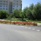 zdjęcie nr 8