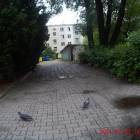 zdjęcie nr 9
