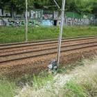 Fotka nr 5 z 30