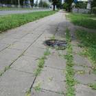 zdjęcie nr 9