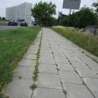 zdjęcie nr 14