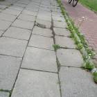 zdjęcie nr 19
