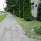 zdjęcie nr 41