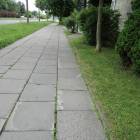 zdjęcie nr 42