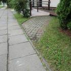 zdjęcie nr 43
