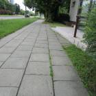 zdjęcie nr 46