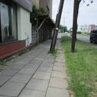 zdjęcie nr 49