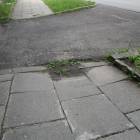 zdjęcie nr 52
