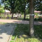 zdjęcie nr 9