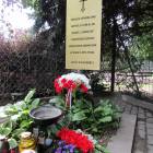 zdjęcie nr 9