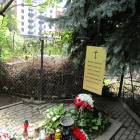 zdjęcie nr 14
