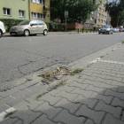 zdjęcie nr 9