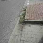 zdjęcie nr 11