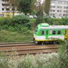 Fotka nr 5 z 8