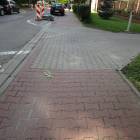 zdjęcie nr 17