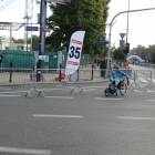 zdjęcie nr 19