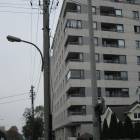zdjęcie nr 21
