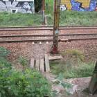 Fotka nr 4 z 20