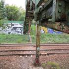 Fotka nr 5 z 20