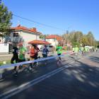 zdjęcie nr 16