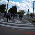 zdjęcie nr 76