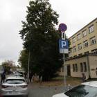 Fotka nr 4 z 10