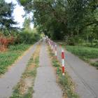 zdjęcie nr 7