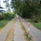 zdjęcie nr 8