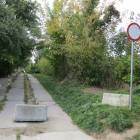 zdjęcie nr 19