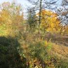 zdjęcie nr 34