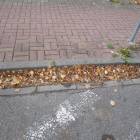 zdjęcie nr 16