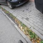 zdjęcie nr 26