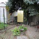 zdjęcie nr 16