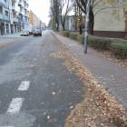 zdjęcie nr 17