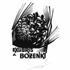 zdjęcie nr 11