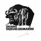 zdjęcie nr 16
