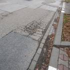 zdjęcie nr 8