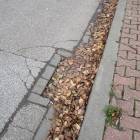 zdjęcie nr 36