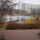 zdjęcie nr 25